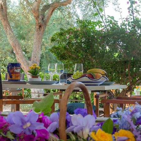 Casa Vacanze Il Bacio بيانو دي سورينتو المظهر الخارجي الصورة