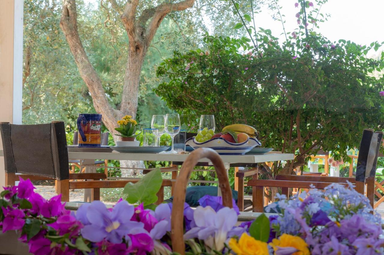 Casa Vacanze Il Bacio بيانو دي سورينتو المظهر الخارجي الصورة